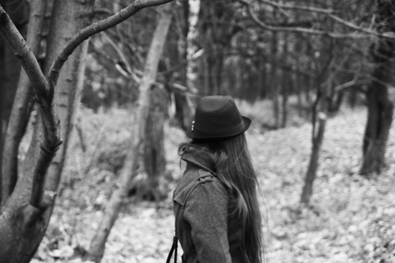 Поля Алексеева