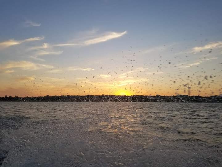 Море Нежности