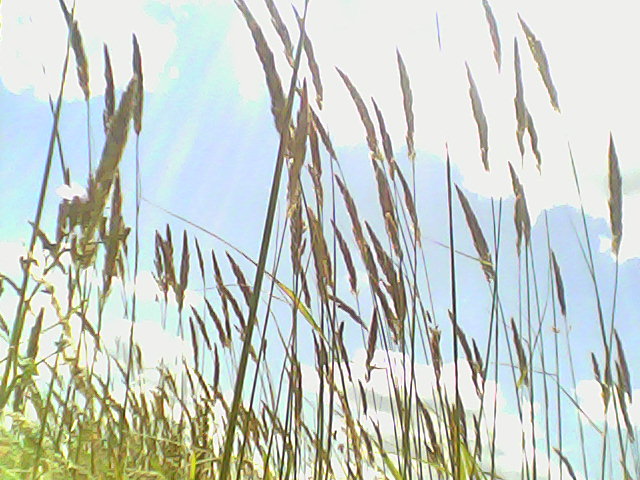 Юрий Пономарев 2