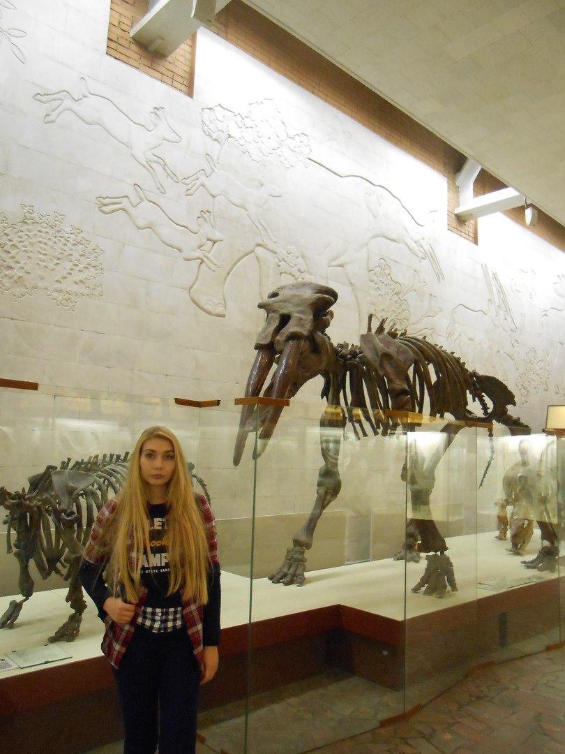 �������� ��������