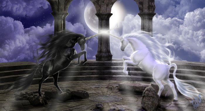 Любитель Порталов