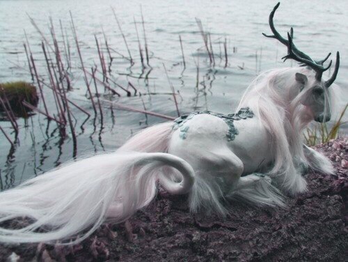 ���� ������ ������