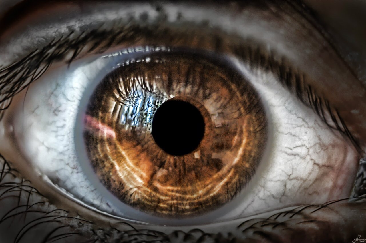 ������ ������