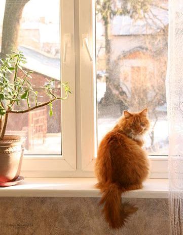 ���������� ������