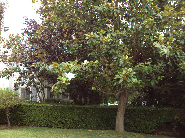 ������� ���������