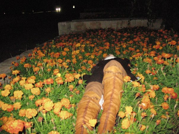 ����� ����������