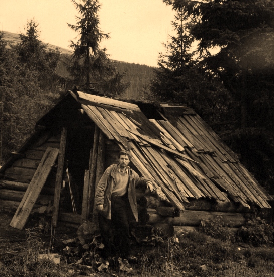 ����� ���� �������