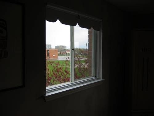 ���� ���������