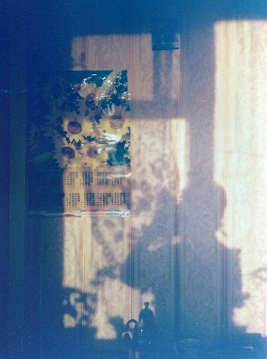 ���� ��������