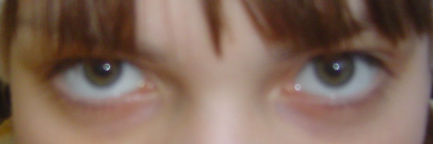 Протеже Мои