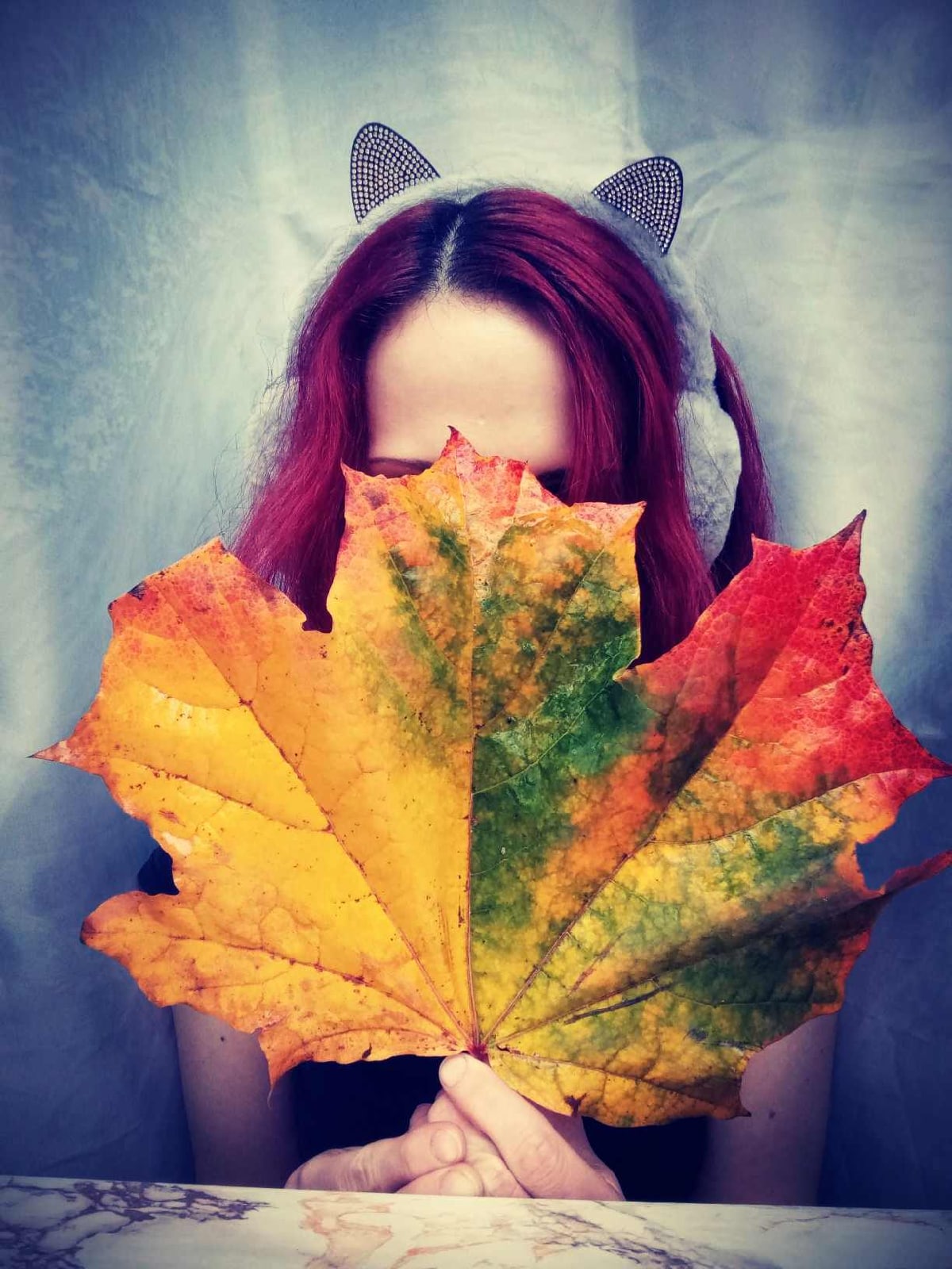 ���� ��������