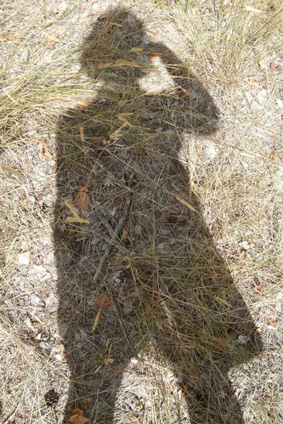 ���� �����������