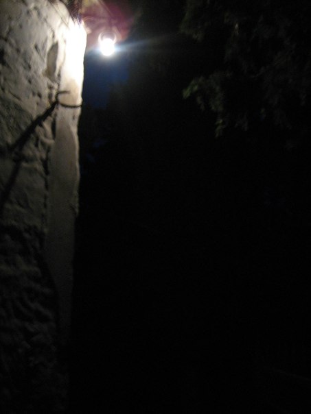 Юрий Пустовойт