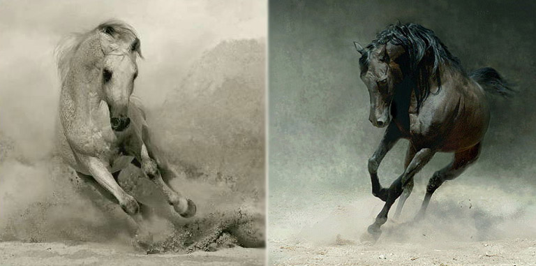 ����� ������