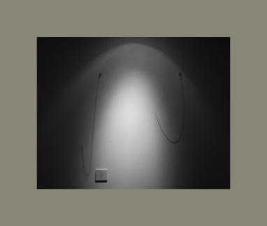 ϸ�� ����������