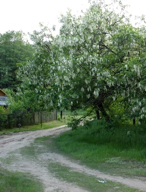 �������� �������� 3