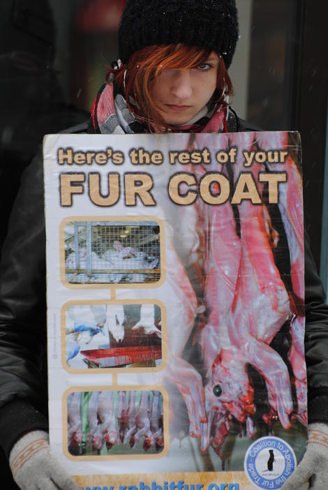 ���� �����