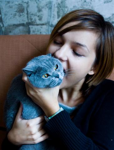 ���� ����