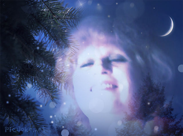 ������ ���������