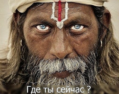 ���� ���������