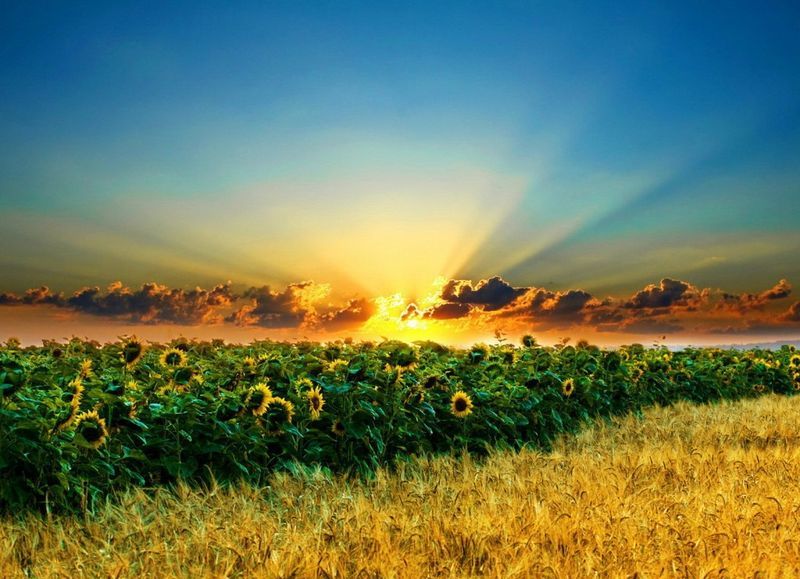 ���������� ��������