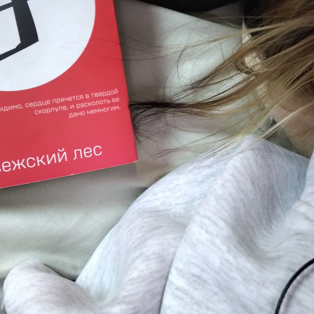 ������ ������