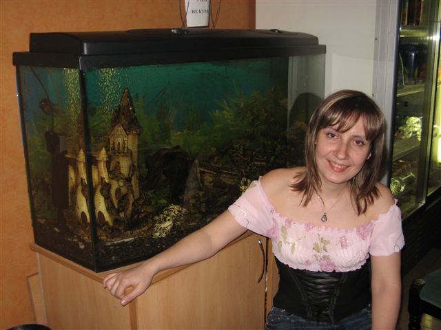 �������� ����