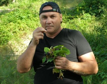 ������ ��������