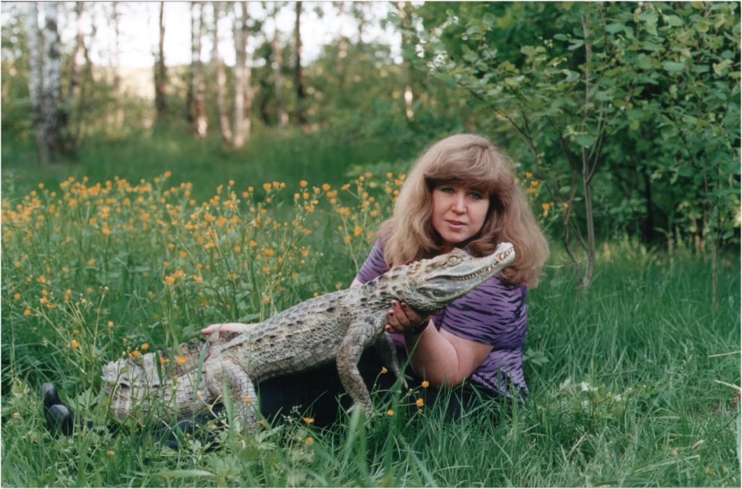 ������ ��������