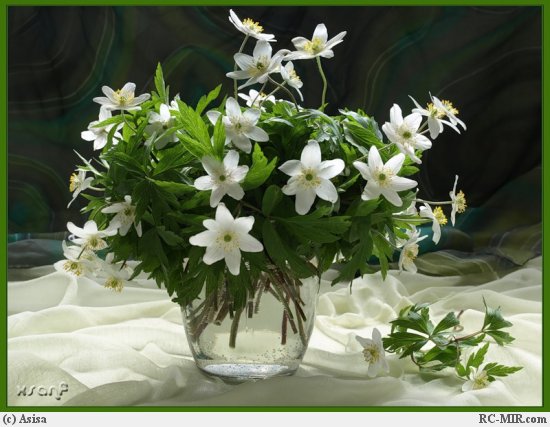 ���� ����