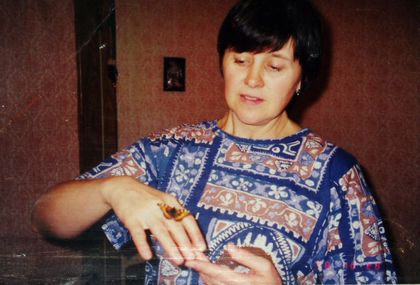 ������ ��������