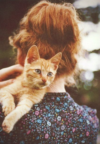 ���� �����