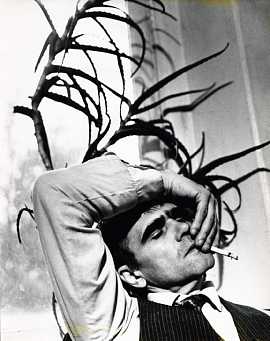 ���� ��������