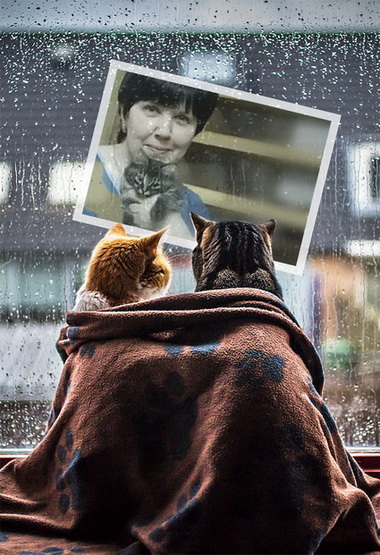 ����� �������