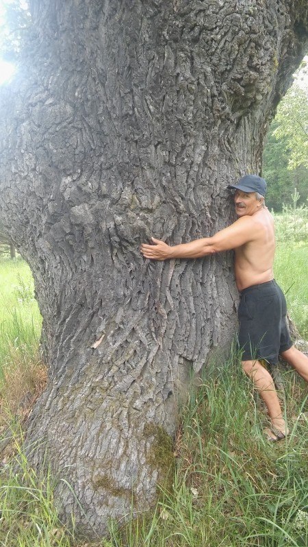 �������� ���������