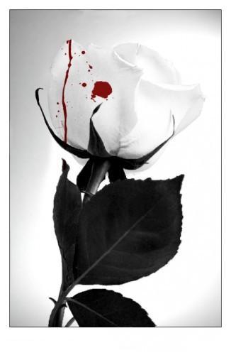 �������� ����