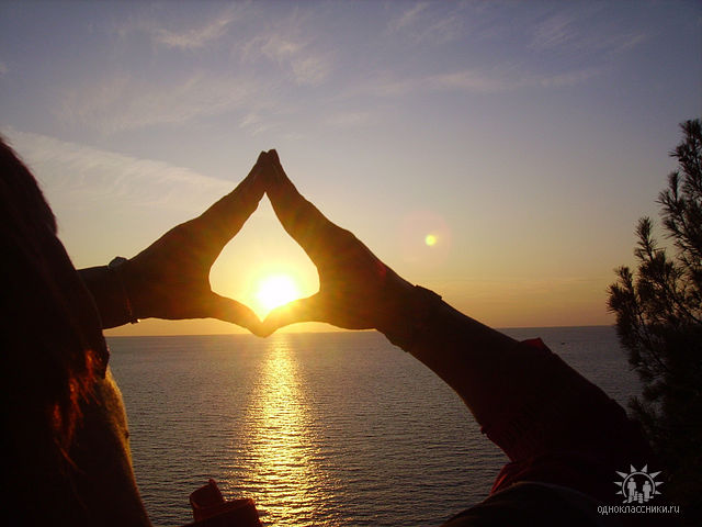 ���� ��������