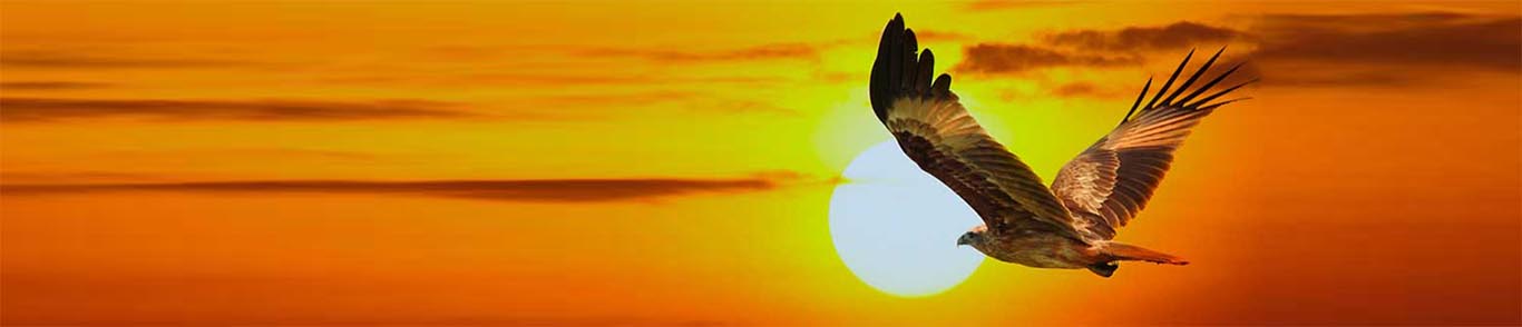 Владимир Николаевич Дмитриев