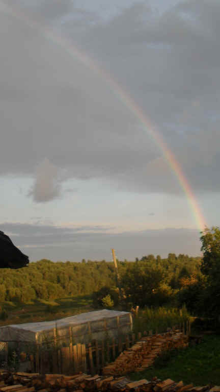 �������� ����