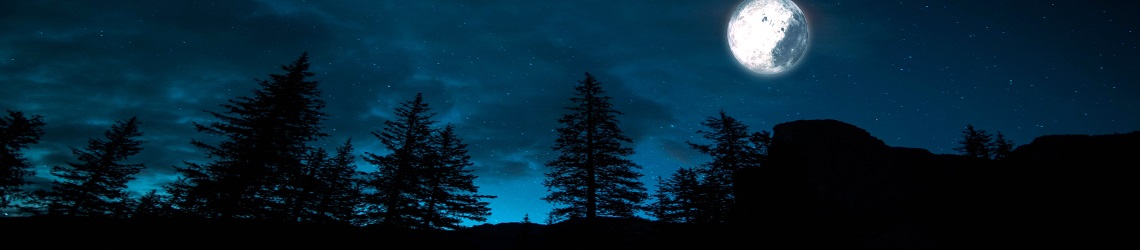 Борис Токур