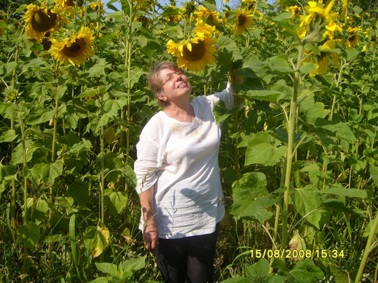 ����� ��������