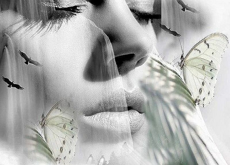 ��� �����