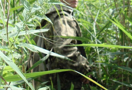 �������� ��������