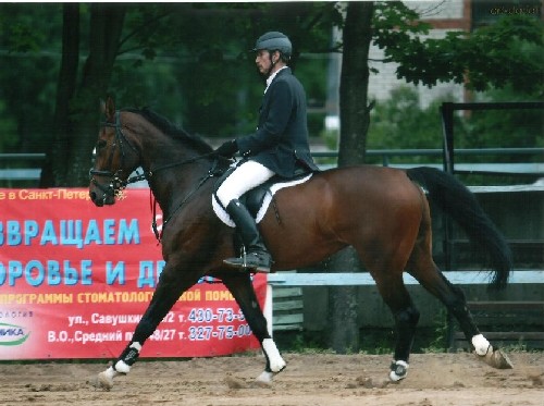 ��� �������