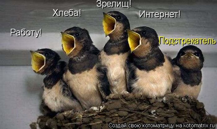 ������ �������