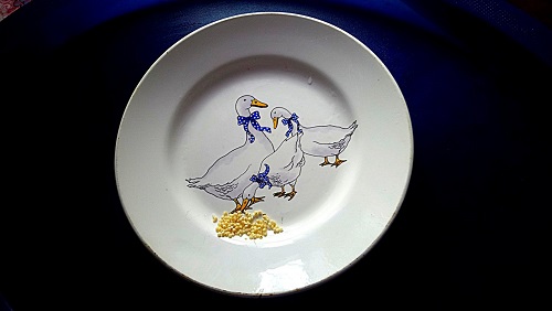 Таша Якушка