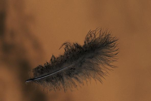 ������ �������