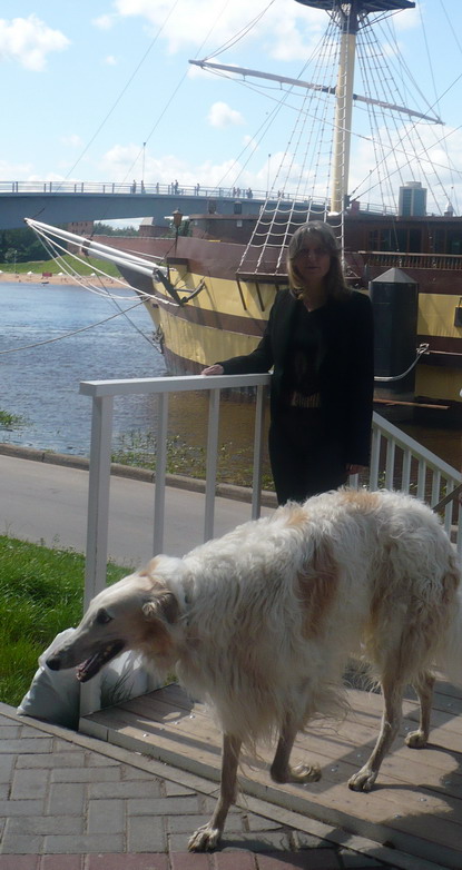 ������� ����������