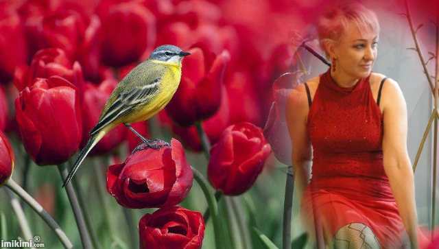 ��� ������