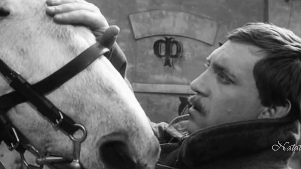 ������ ���������